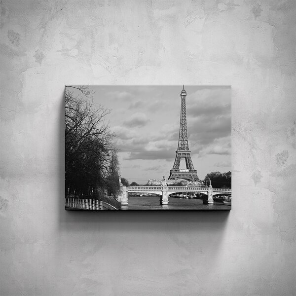 Obraz - Černobílá Eiffelova věž
