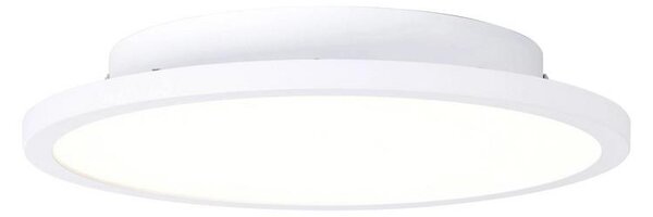 Brilliant - LED Stropní svítidlo BUFFI LED/13W/230V pr. 25 cm 2700K LX0594