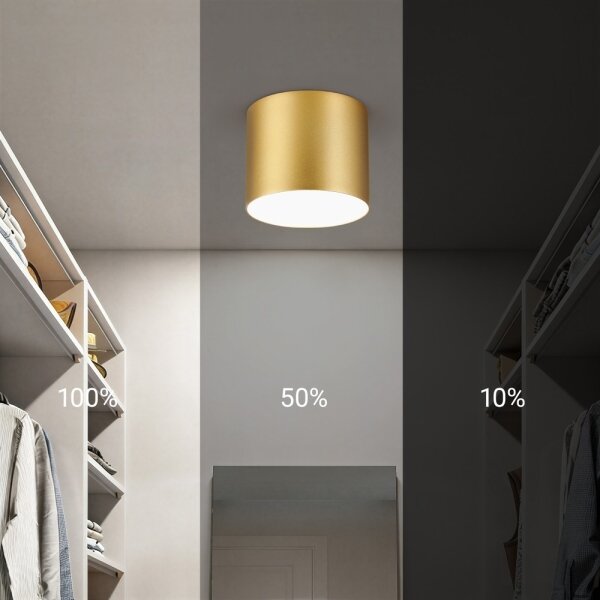 Immax NEO 07317L - LED Stm stropní sv RONDATE 18W/230V 11,5cm Wi-Fi Tuya zlatá