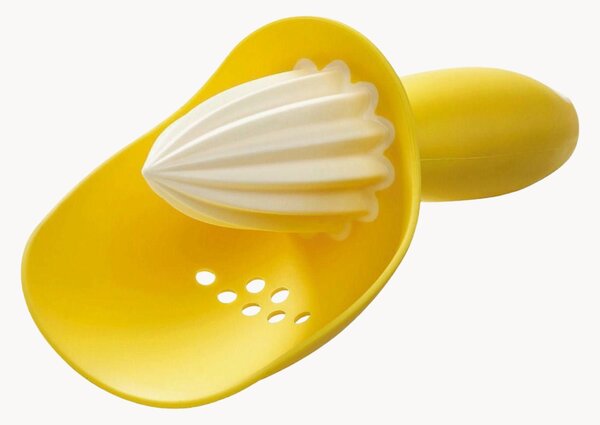 Lis na citrusy Catcher