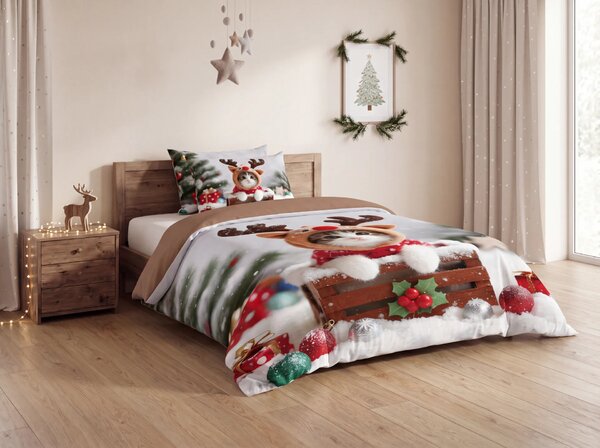 3D povlečení z mikrovlákna RUDOLPH KITTEN barevné Rozměr povlečení: 2 ks 70 x 90 cm | 140 x 200 cm