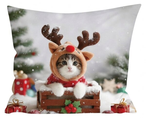 3D povlak na polštář z mikrovlákna RUDOLPH KITTEN 45x45 cm, barevný