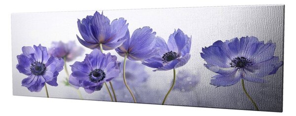 Wallity Obraz na plátně Violet beauty PC028 30x80 cm