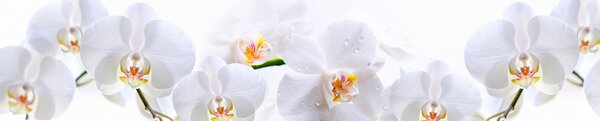 Grace Kuchyňská zástěna ABS plast Sněhově bílá Orchidej 3000x600mm 1,5mm