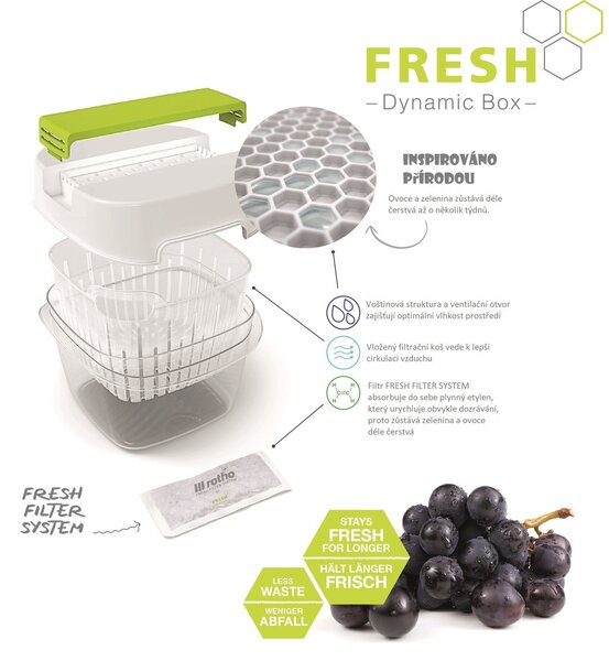 Rotho Speciální box na ovoce a zeleninu, s ventilací a filtrem, do lednice, Fridge Fresh,1,6l modrý