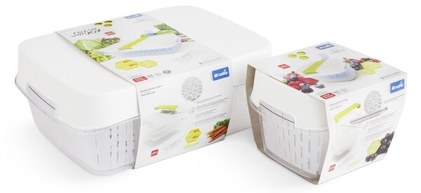 Rotho Speciální box na ovoce a zeleninu, s ventilací a filtrem, do lednice, Fridge Fresh,1,6l modrý