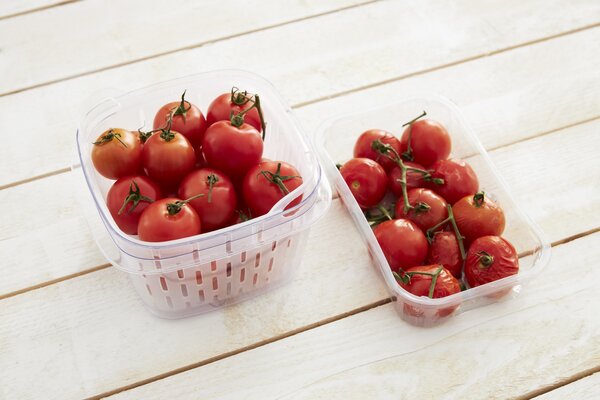 Rotho Speciální box na ovoce a zeleninu, s ventilací a filtrem, do lednice, Fridge Fresh,1,6l modrý