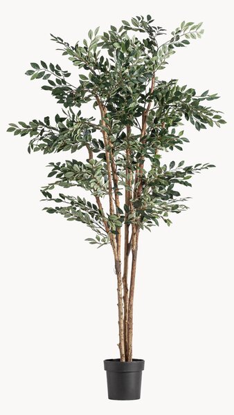 Umělá rostlina Ficus