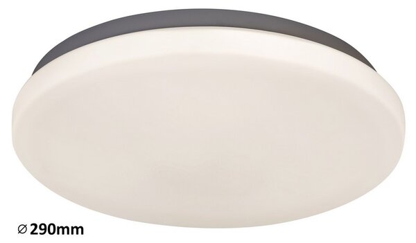 Rabalux LED stropní svítidlo Rob 1x20W | 1400lm | 4000K - průměr 29cm