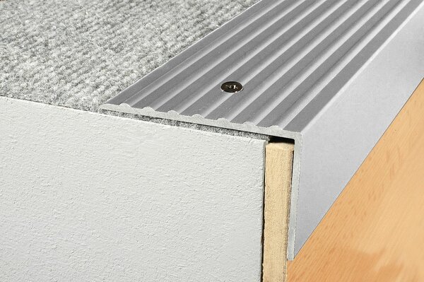 Schodový profil 65 x 42 mm (šroubovací) Stříbro E01