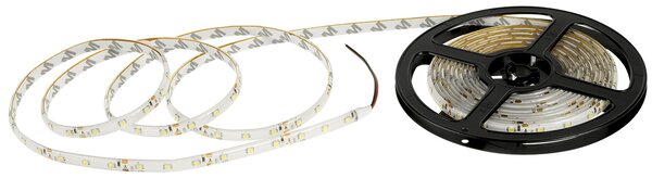 ECOLIGHT LED pásek - SMD 2835 - 5m - 60LED/m - 4,8W/m - IP65 - studená bílá