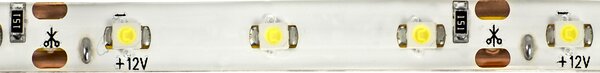 ECOLIGHT LED pásek - SMD 2835 - 5m - 60LED/m - 4,8W/m - IP65 - studená bílá