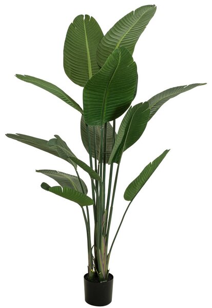 Umělá palma Strelície, 170cm