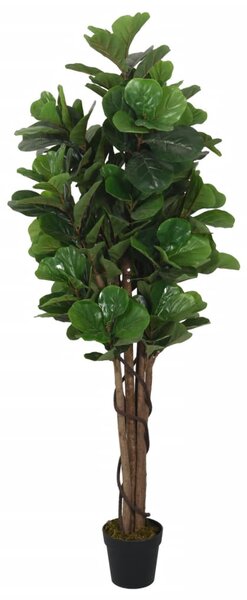 Umělý fíkus lyrový 96 listů 80 cm zelený