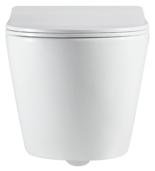 Erga Erga, závěsný set pod omítku Laveo Akan + závěsná WC mísa Lily+ s toaletním sedadlem z duroplastu + splachovací tlačítko, bílá lesklá, ERG-SETLA…
