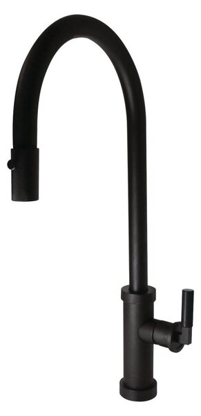 ALVEUS 1132179 - Dřezová baterie s vytahovací sprškou NERINA 46,8 cm černá