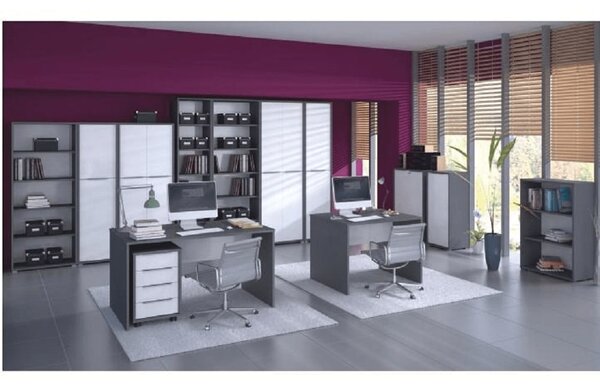 HezkýNábytek.cz Věšákový panel Hamila NEW TYP 19 (grafit + bílá). 1028781