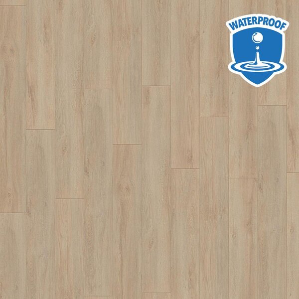 Kronotex 8 SOLID Grand Oak Beige 99402, 2,131 m²