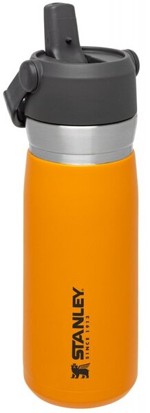 Vakuová láhev na pití GO FLIP STRAW, 650 ml, Saffron oranžová - STANLEY (Vakuová láhev na vodu FLIP STRAW, 650 ml, Saffron oranžová - STANLEY)