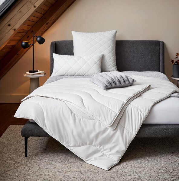 CELOROČNÍ PŘIKRÝVKA, 135/200 cm, polyester, lyocell, kapok Sleeptex - Přikrývky, Online Only
