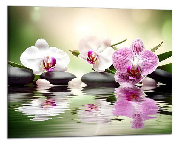 Obraz na plátně Orchideje na hladině , jednodílný 3993AX