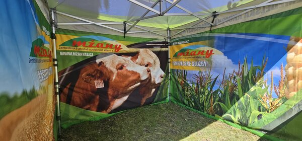 TENTino SET - Nůžkový párty stan 3x3 m s jednostranným potiskem Typ konstrukce: STEEL HEXAGON, Potisk: střecha + 3x bočnice + 1x polobočnice, Gramáž polyesteru: 230 g/m2