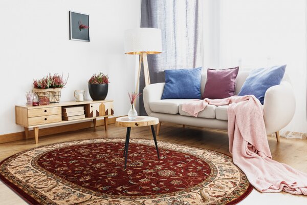 Oválný koberec vlněný Dywilan Omega Aries Rubín Rozměr: 170x235 cm