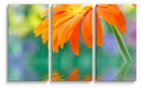Sablio Obraz - 3-dílný Oranžová gerbera - 120x80 cm