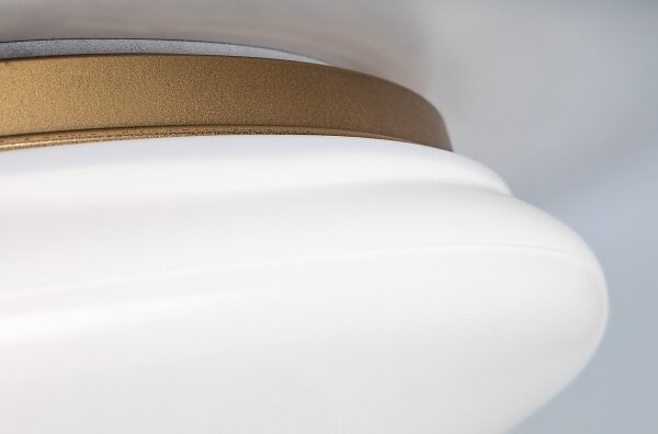 Rabalux 75053 - LED Koupel. stropní svítidlo CALIOPE LED/24W/230V IP44 pr. 41 cm