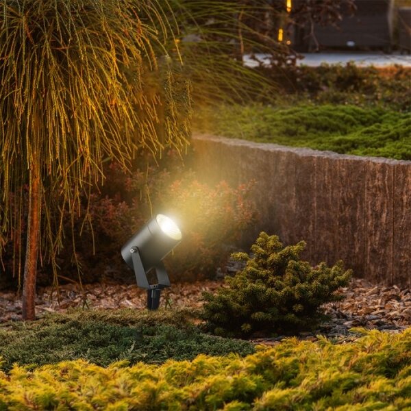 LED Venkovní lampa LED/10W/230V 3000K IP65