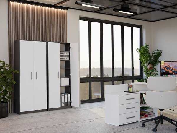 TP Living Kancelářská knihovna OLIV 2D antracit/bílá