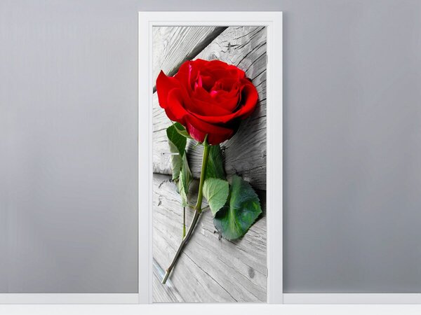 Fototapeta na dveře Růže plná barev Materiál: Samolepící, Rozměry: 95 x 205 cm