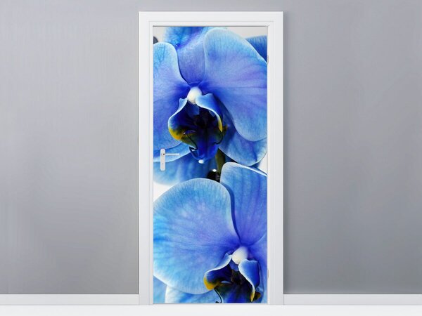 Fototapeta na dveře Modrá orchidej Materiál: Samolepící, Rozměry: 95 x 205 cm