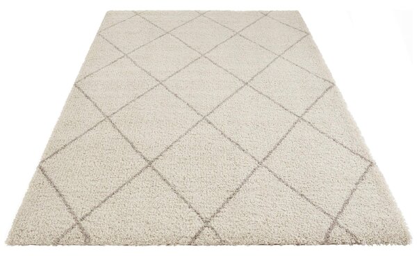 Kusový koberec SHAGGY XSH-6 200x290cm