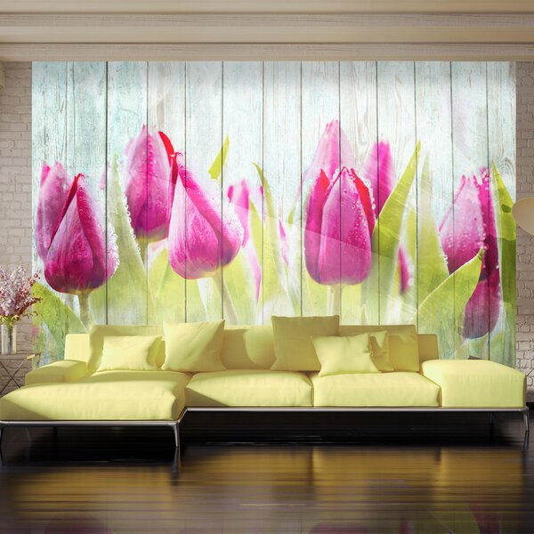 Fototapeta - Tulipány na bílém dřevě 200x140 + zdarma lepidlo