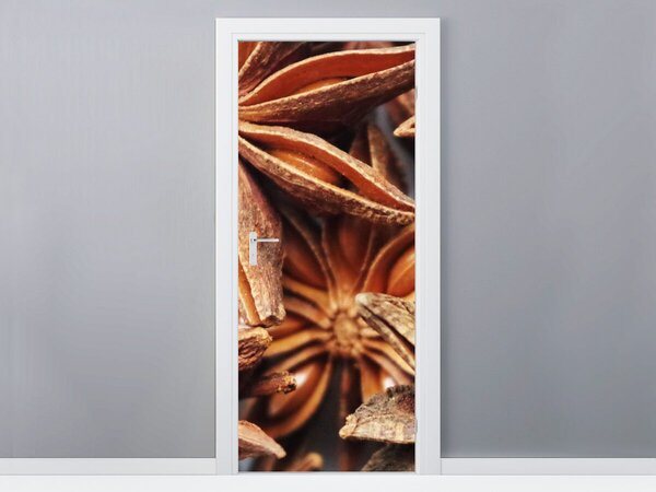 Fototapeta na dveře Anýz Materiál: Samolepící, Rozměry: 95 x 205 cm
