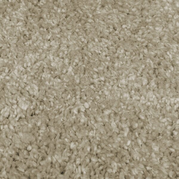 Flair Rugs, Kusový koberec Shaggy Teddy Natural, 120x170, béžová, ložnice