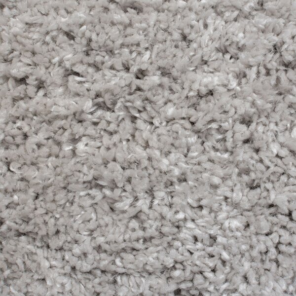 Flair Rugs, Kusový koberec Shaggy Teddy Grey, 80x150, šedá, ložnice
