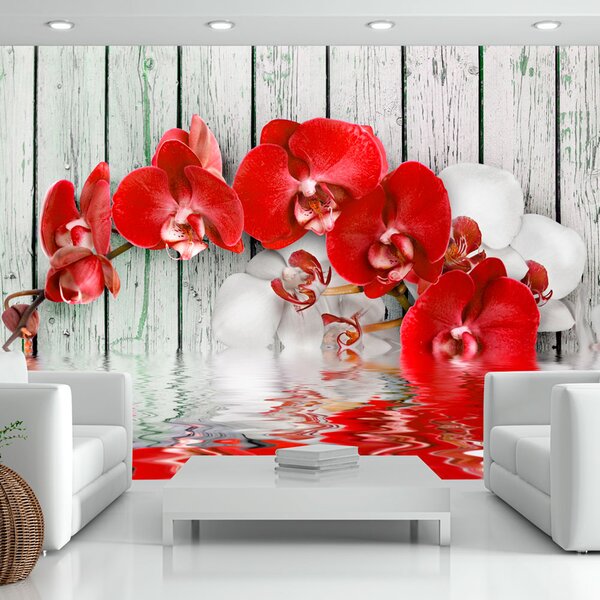 Artgeist Fototapeta - Ruby orchid Size: 300x210