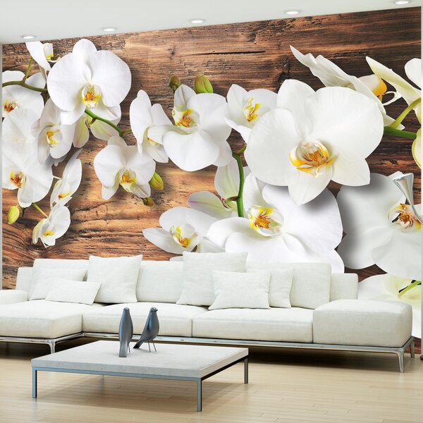 Fototapeta - Lesní orchidej 200x140 + zdarma lepidlo