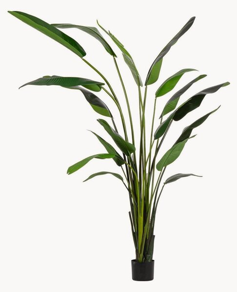 Umělá rostlina Strelitzia