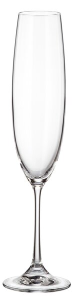 Crystalite Bohemia sklenice na šampaňské Milvus 250 ml 6KS