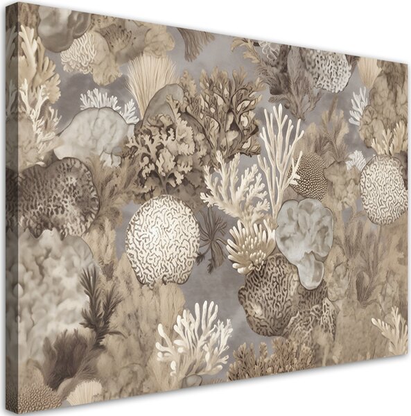 Obraz na plátně Mořští živočichové a korály Rozměry: 60 x 40 cm