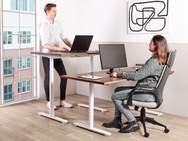 Elektricky výškově nastavitelný pracovní stůl DESTINAS Hnědá/Bílá 180 cm 80 cm