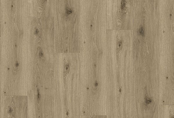PARADOR Trendtime 8 Dub imperial macchiato autentická struktura 1744827 - 2.06 m2