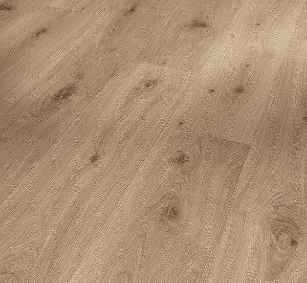 PARADOR Trendtime 8 Dub imperial macchiato autentická struktura 1744827 - 2.06 m2