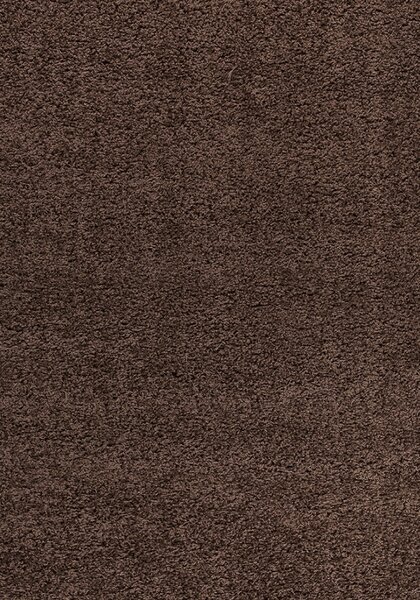 Ayyildiz koberce Kusový koberec Dream Shaggy 4000 brown ROZMĚR: 80x150