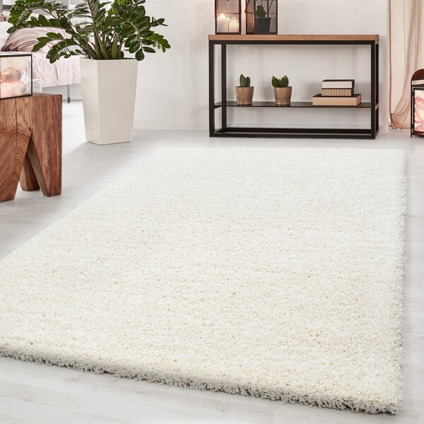 Ayyildiz, Kusový koberec Dream Shaggy 4000 cream, 80x150, bílá, ložnice