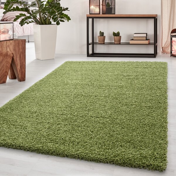 Ayyildiz, Kusový koberec Dream Shaggy 4000 green, 120x170, zelená, ložnice