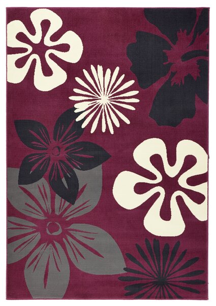 Hanse Home Collection koberce Kusový koberec Gloria 102401 - 120x170 cm